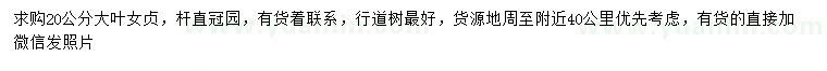 求購20公分大葉女貞