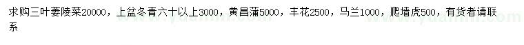 求購(gòu)三葉萎陵菜、冬青、貢昌蒲等
