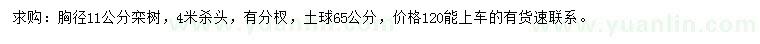 求購胸徑11公分欒樹