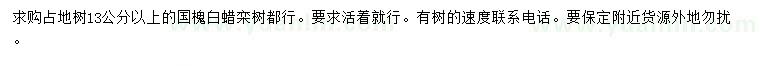求購國槐、白蠟、欒樹