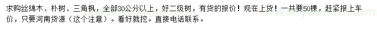 求購絲綿木、樸樹、三角楓