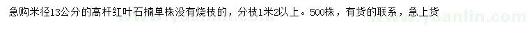 求購(gòu)米徑13公分高桿紅葉石楠