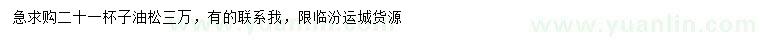 求購21公分油松