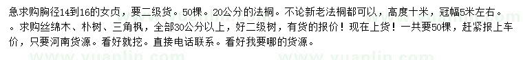 求購女貞、法桐、絲棉木等