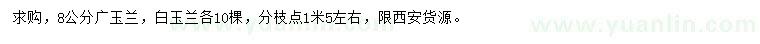 求購8公分廣玉蘭、白玉蘭