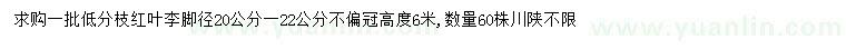 求購腳徑20公分紅葉李