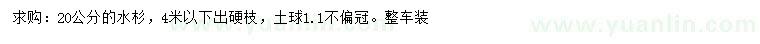 求購20公分水杉
