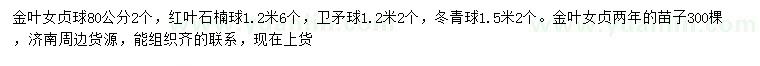 求購金葉女貞球、紅葉石楠球、衛(wèi)矛球等