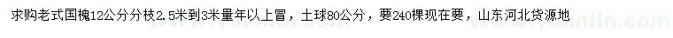 求購(gòu)12公分老式國(guó)槐