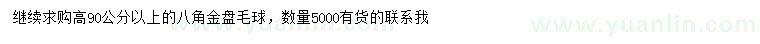 求購高90公分以上八角金盤