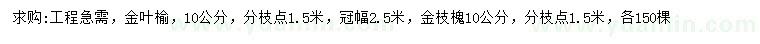 求購10公分金葉榆、金枝槐