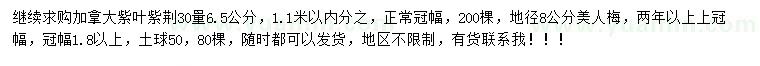求購30公分量6.5公分加拿大紫葉紫荊、地徑8公分美人梅