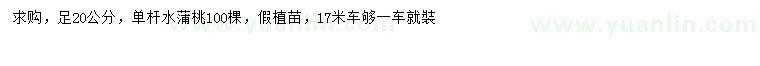 求購(gòu)足20公分單桿水蒲桃