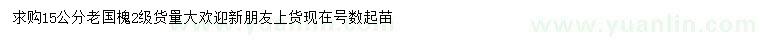 求購15公分老國槐