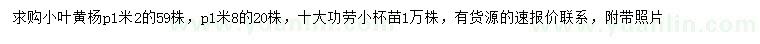 求購(gòu)冠幅1.2、1.8米小葉黃楊