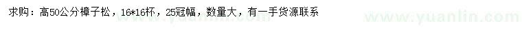 求購高50公分樟子松