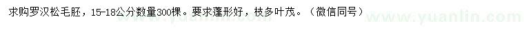 求購(gòu)15-18公分羅漢松