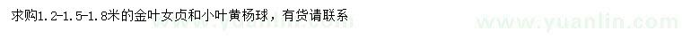 求購(gòu)1.2-1.5-1.8米金葉女貞、小葉黃楊球