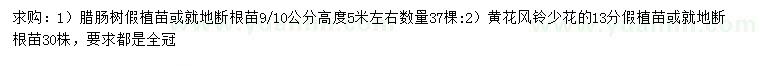 求購9、10公分臘腸樹假植苗、13公分黃花風鈴