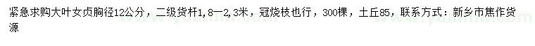 求購胸徑12公分大葉女貞