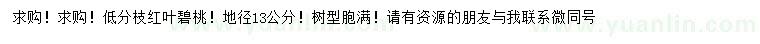 求購(gòu)地徑13公分紅葉碧桃