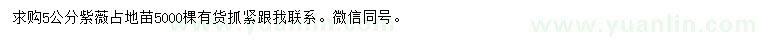 求購5公分紫薇