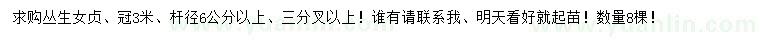 求購冠幅3米叢生女貞