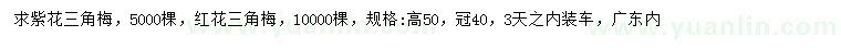 求購(gòu)高50公分紫花三角梅、紅花三角梅