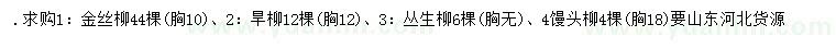 求購金絲柳、旱柳、叢生柳等