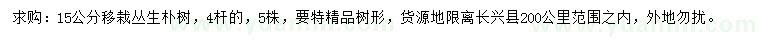 求購15公分叢生樸樹