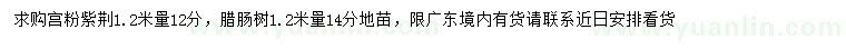 求購1.2米量12公分宮粉紫荊、14公分臘腸樹