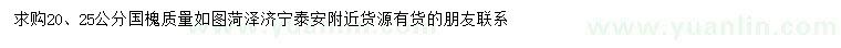 求購20、25公分國槐