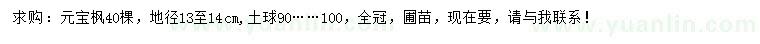 求購地徑13-14公分元寶楓