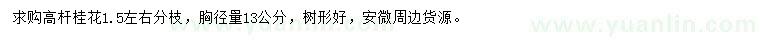 求購胸徑量13公分高桿桂花