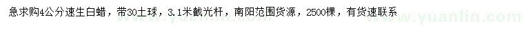 求購4公分速生白蠟