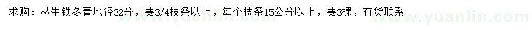 求購地徑32公分叢生鐵冬青