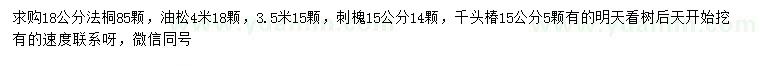 求購法桐、油松、刺槐等