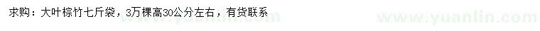 求購(gòu)高30公分左右大葉棕竹