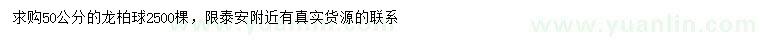 求購50公分龍柏球