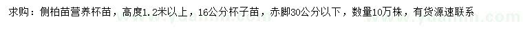 求購(gòu)高1.2米以上側(cè)柏苗