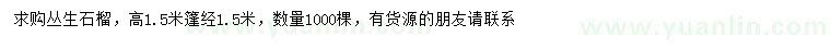 求購(gòu)高1.5米叢生石榴