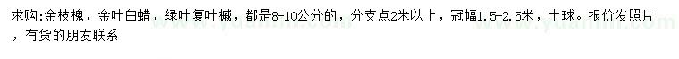 求購金枝槐、金葉白蠟、綠葉復葉槭