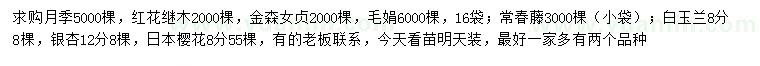 求購月季、紅花繼木、金森女貞等