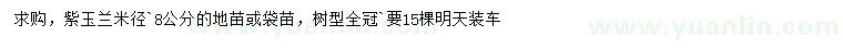 求購米徑8公分紫玉蘭