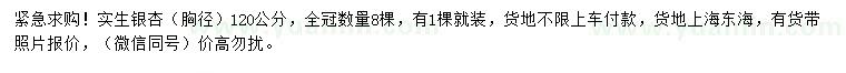 求購(gòu)胸徑120公分銀杏