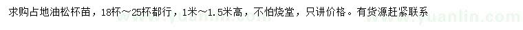 求購(gòu)高1-1.5米油松