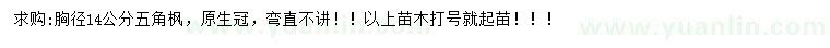 求購胸徑14公分五角楓