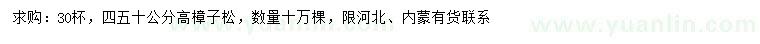 求購高40、50公分樟子松