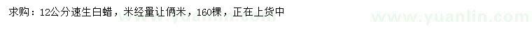 求購速生白蠟
