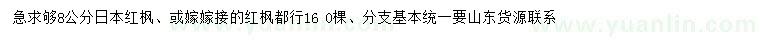 求購8公分日本紅楓、紅楓